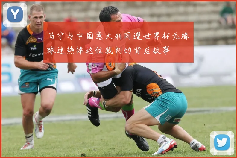 马宁与中国意大利同遭世界杯无缘球迷热捧这位裁判的背后故事