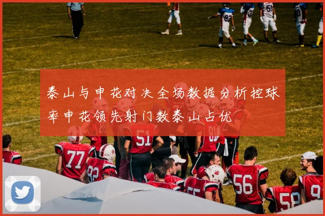 泰山与申花对决全场数据分析控球率申花领先射门数泰山占优